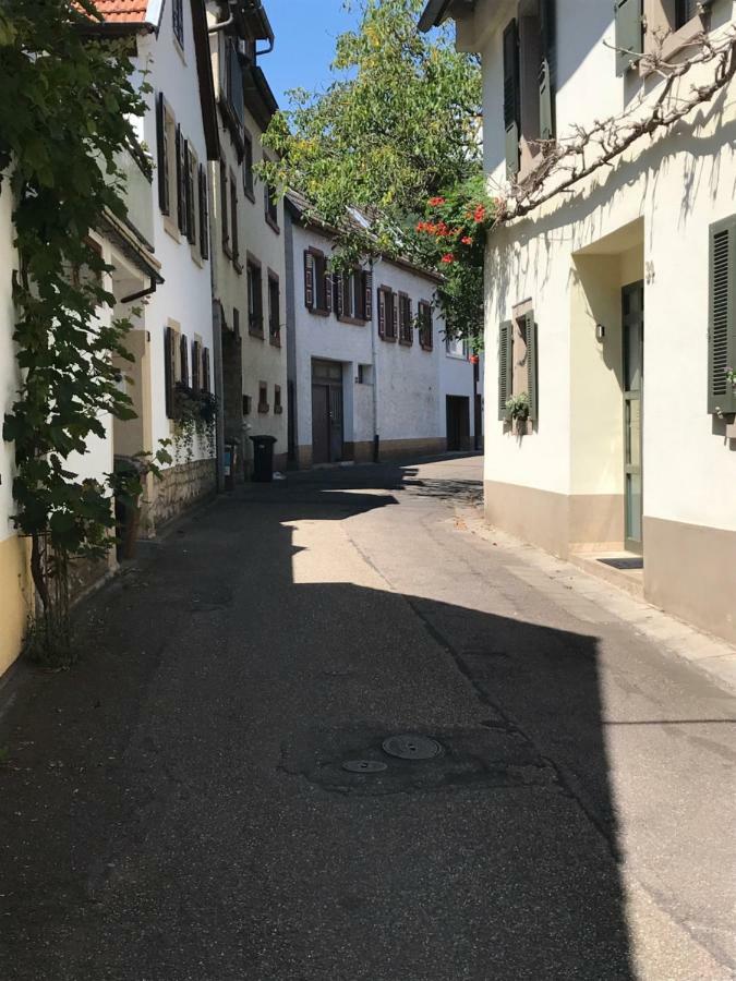 Ferienwohnung Eulenhof Neustadt an der Weinstraße Exterior photo